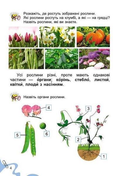 "Я досліджую світ. Підручник. 1 клас. 2 частина" - Гільберг Т., Тарнавська С., Павич Н. (Тверда обкладинка) GENEZA0030 фото