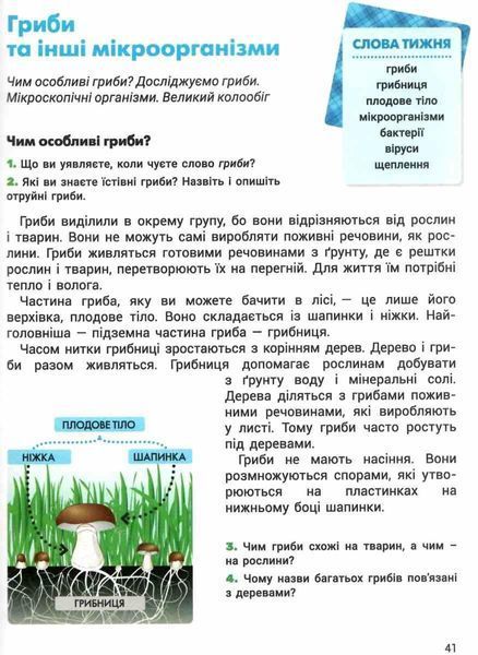 " Я досліджую світ. Підручник. 3 клас. 2 частина. НУШ" - Іщенко О., Ващенко О., Романенко Л. (Тверда обкладинка) LITER0050 фото