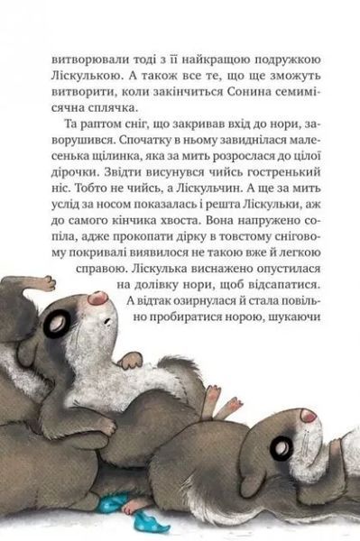 Книга "Маленька Соня в лісі різдвяних історій" - Больман Забіне (Тверда палітурка, українською мовою) VIVAT00136 фото