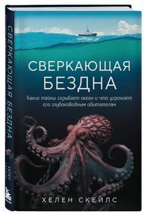 Книга "Блискуча безодня" - Скейлз Х. (Тверда обкладинка) DGN05100 фото