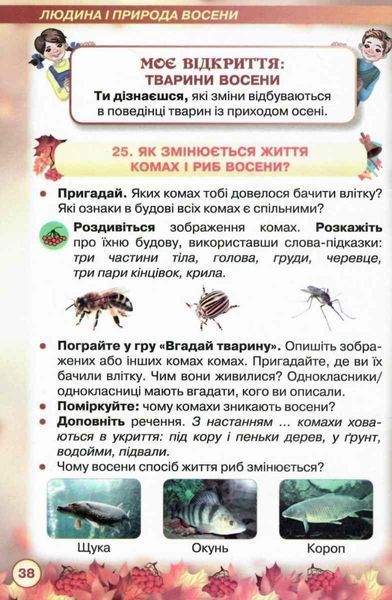 "Я досліджую світ. Підручник. Інформатика. Дизайн та технології. 2 клас. 2 частина. НУШ" (Тверда обкладинка) ORIO0036 фото